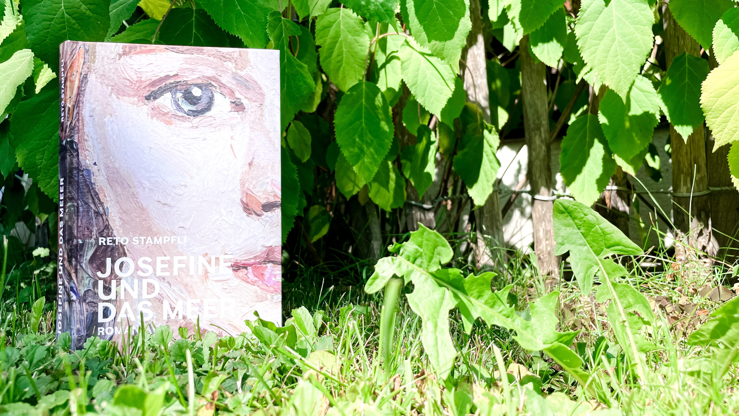 Das Buch «Josefine und das Meer» von Reto Stämpfli steht im Rasen vor einem Holzzaun, zwischen deren Latten Hortensienblätter hervorlugen.