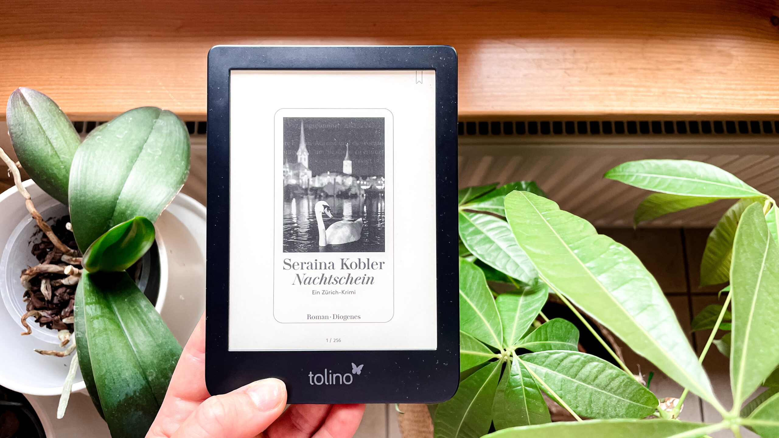 Eine Hand hält einen eReader von Tolino, darauf ist das Coverbild von «Nachtschein» von Seraina Kobler zu sehen. Im Hintergrund sind grüne Pflanzen und eine hölzerne Fensterbank zu sehen.