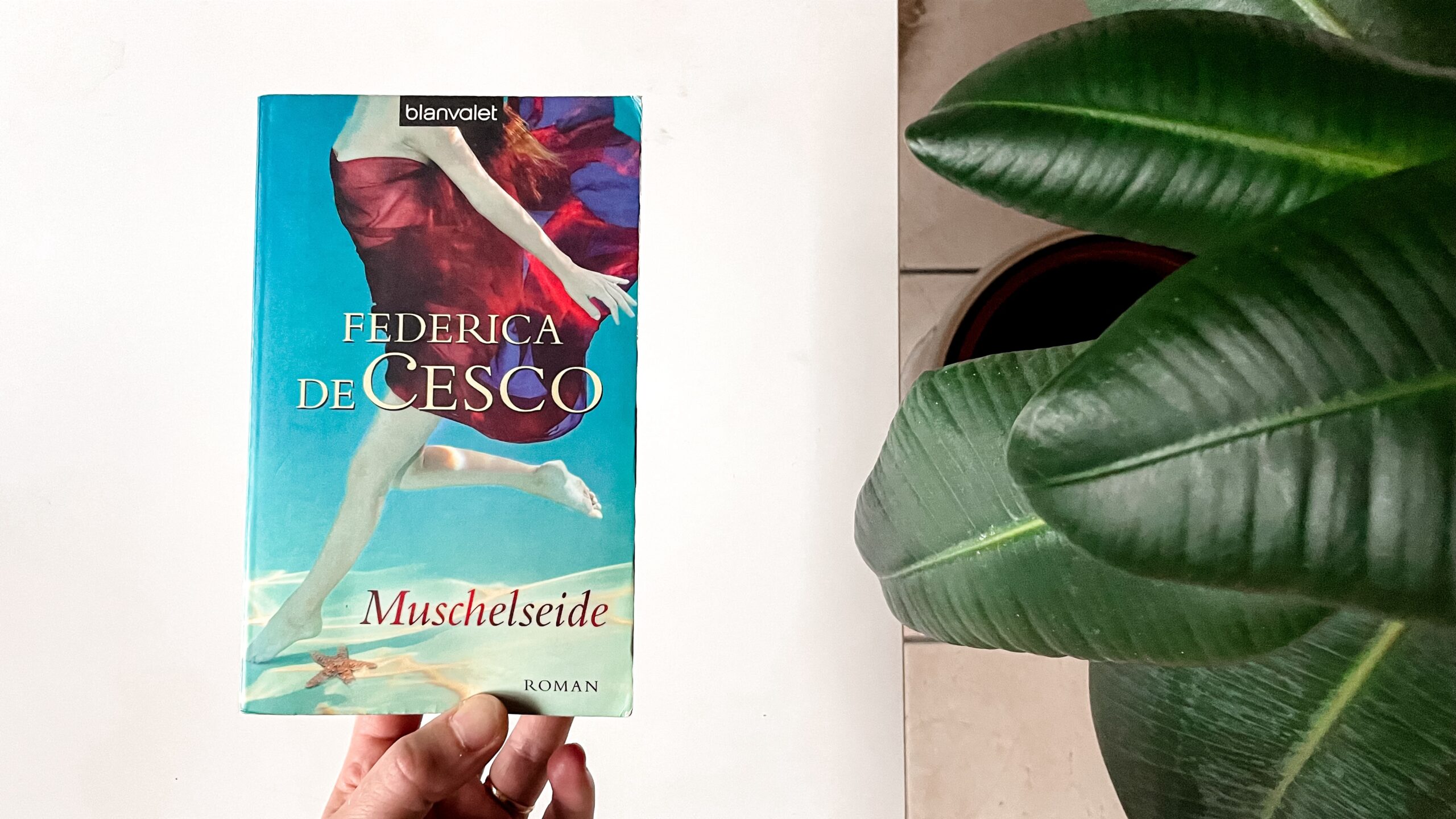 Eine Hand hält das Taschenbuch «Muschelseide» von Federica de Cesco vor einem weissen Hintergrund. Rechts im Bild sind die dunkelgrünen Blätter eines Gummisbaums zu sehen.
