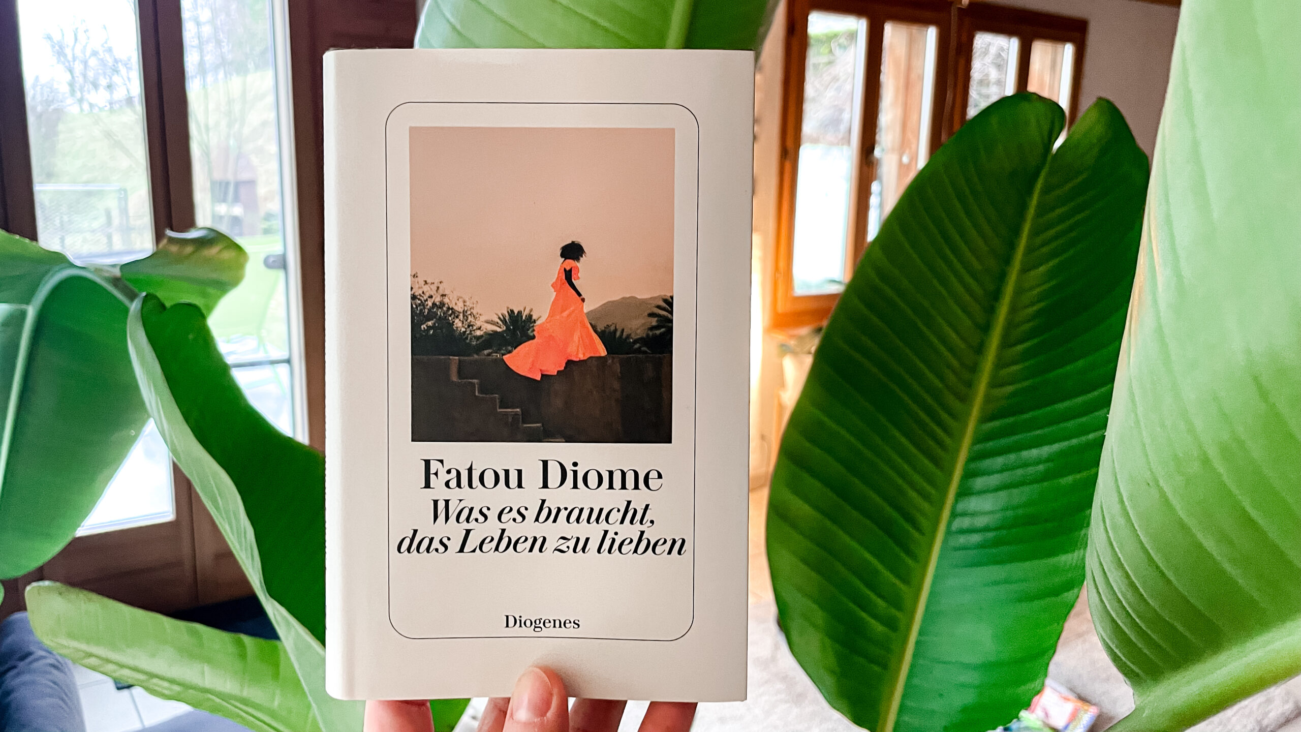 Das Buchcover von Â«Was es braucht, das Leben zu liebenÂ» von Fatou Diome wird von einer Hand vor die grÃ¼nen BlÃ¤tter einer mÃ¤chtigen Strelitze gehalten. Im Hintergrund sind Fenster mit HolzrÃ¤hmen zu sehen.